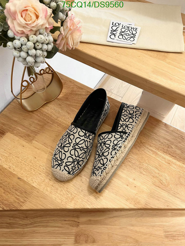 Loewe-Women Shoes Code: DS9560 $: 75USD