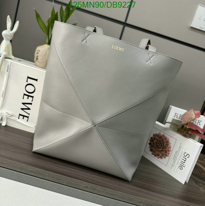 Loewe-Bag-Mirror Quality Code: DB9227 $: 325USD