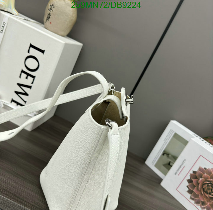 Loewe-Bag-Mirror Quality Code: DB9224 $: 259USD