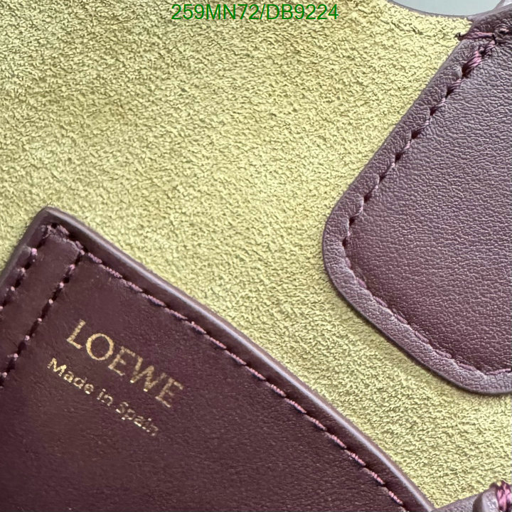 Loewe-Bag-Mirror Quality Code: DB9224 $: 259USD