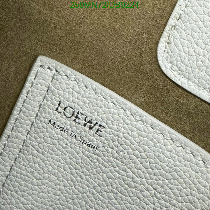 Loewe-Bag-Mirror Quality Code: DB9224 $: 259USD