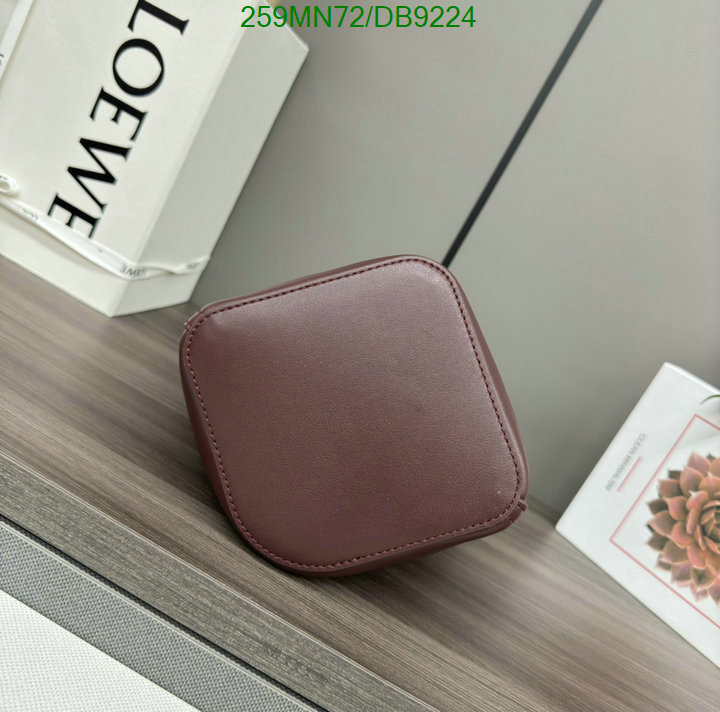 Loewe-Bag-Mirror Quality Code: DB9224 $: 259USD