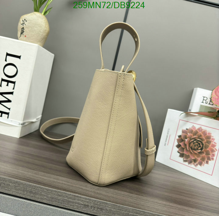 Loewe-Bag-Mirror Quality Code: DB9224 $: 259USD