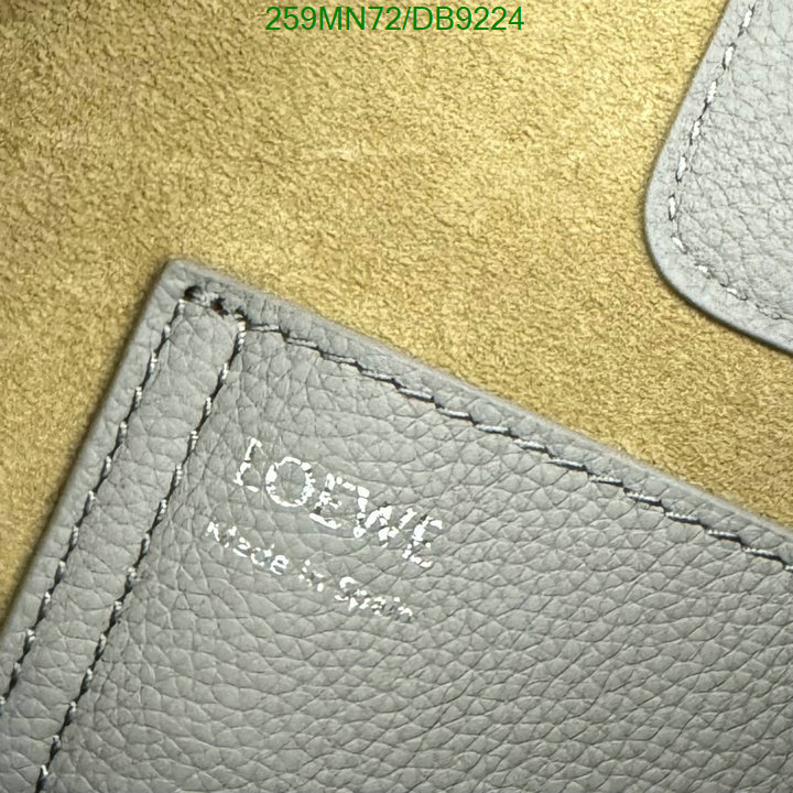 Loewe-Bag-Mirror Quality Code: DB9224 $: 259USD