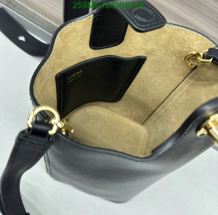 Loewe-Bag-Mirror Quality Code: DB9224 $: 259USD