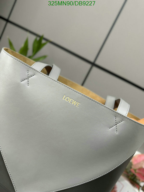 Loewe-Bag-Mirror Quality Code: DB9227 $: 325USD