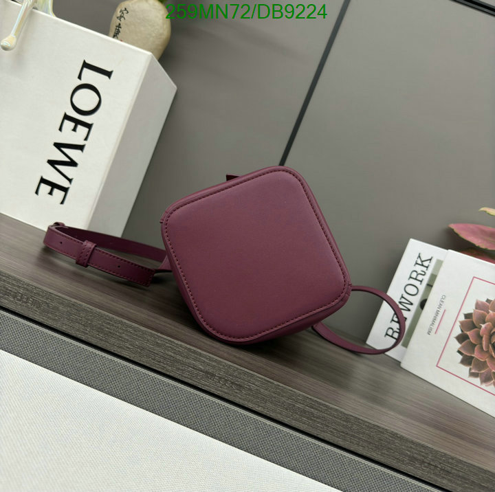 Loewe-Bag-Mirror Quality Code: DB9224 $: 259USD