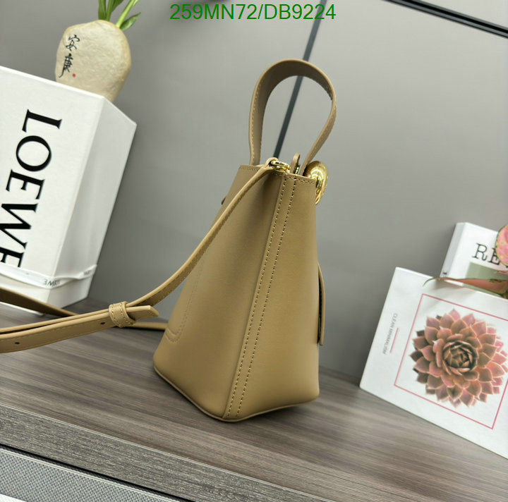 Loewe-Bag-Mirror Quality Code: DB9224 $: 259USD