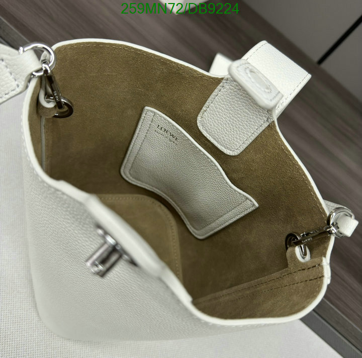 Loewe-Bag-Mirror Quality Code: DB9224 $: 259USD