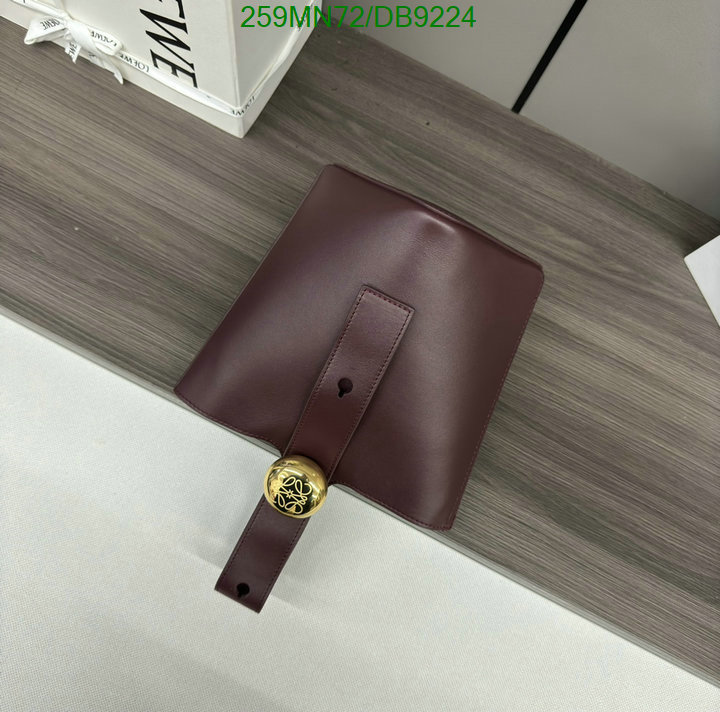 Loewe-Bag-Mirror Quality Code: DB9224 $: 259USD