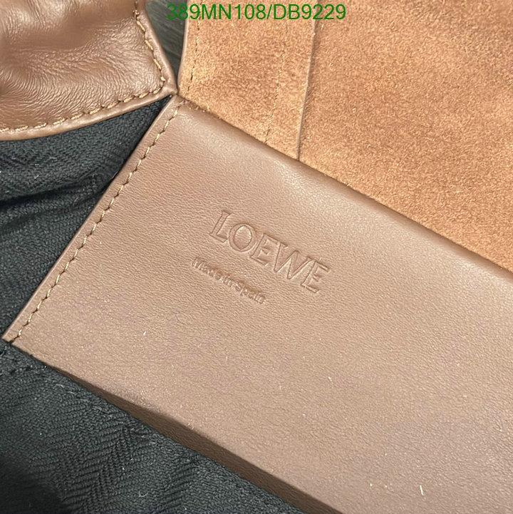 Loewe-Bag-Mirror Quality Code: DB9229 $: 389USD