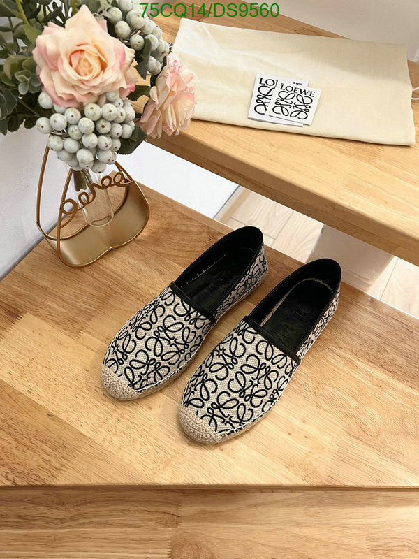 Loewe-Women Shoes Code: DS9560 $: 75USD