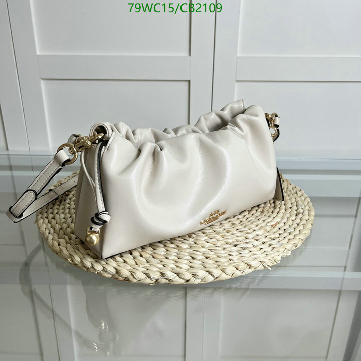 Coach-Bag-4A Quality Code: CB2109 $: 79USD