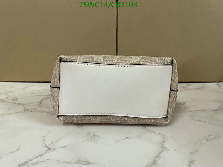 Coach-Bag-4A Quality Code: CB2103 $: 75USD