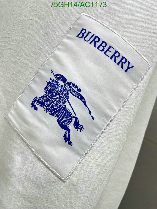 Burberry-Clothing Code: AC1173 $: 75USD