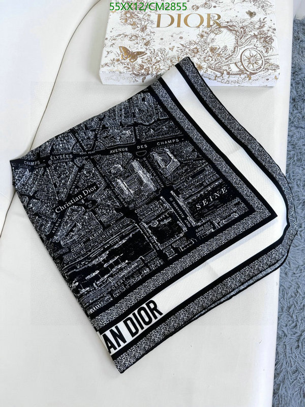 Dior-Scarf Code: CM2855 $: 55USD