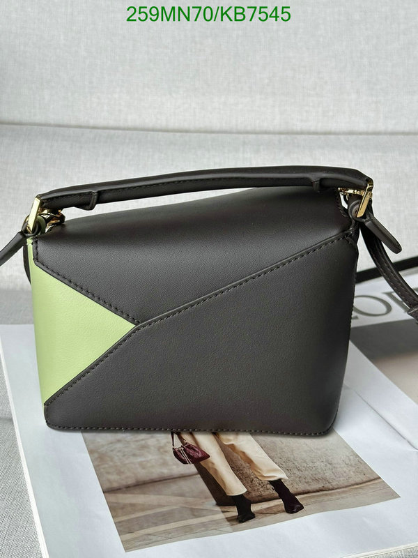 Loewe-Bag-Mirror Quality Code: KB7545