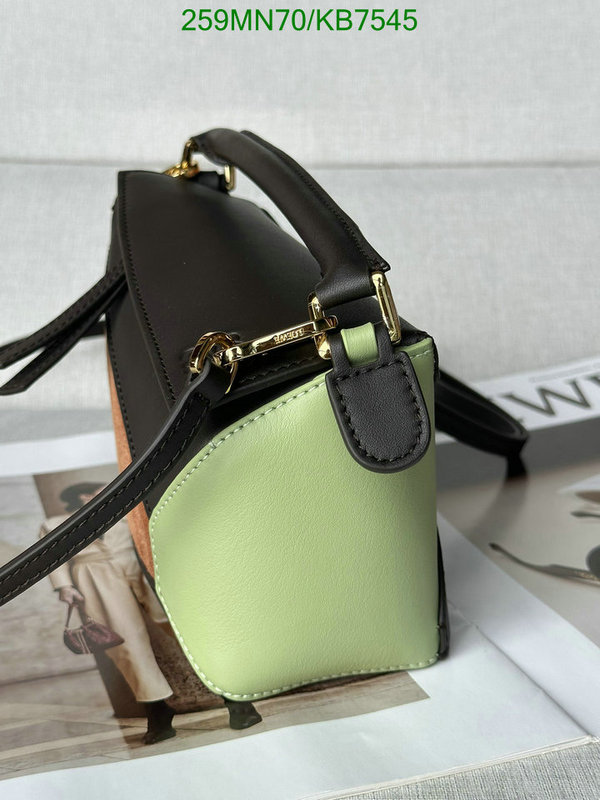 Loewe-Bag-Mirror Quality Code: KB7545