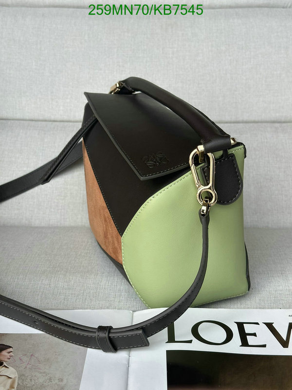 Loewe-Bag-Mirror Quality Code: KB7545