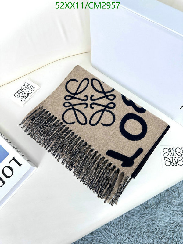 Loewe-Scarf Code: CM2957 $: 52USD