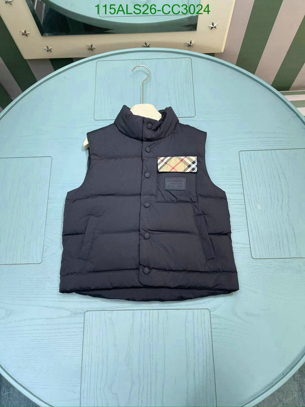 Down Jacket-Kids Clothing Code: CC3024 $: 115USD