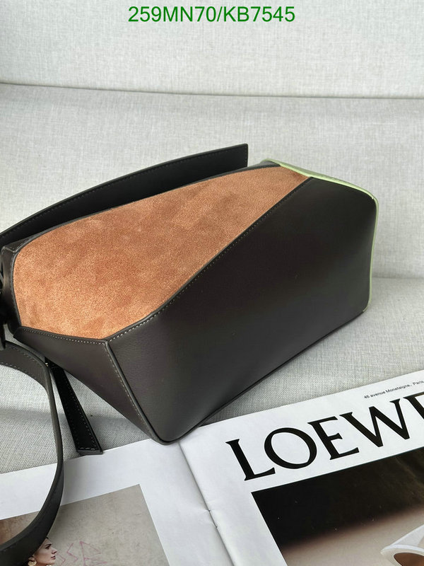 Loewe-Bag-Mirror Quality Code: KB7545