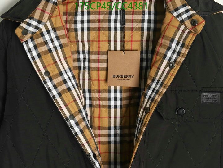 Burberry-Clothing Code: CC4381 $: 175USD