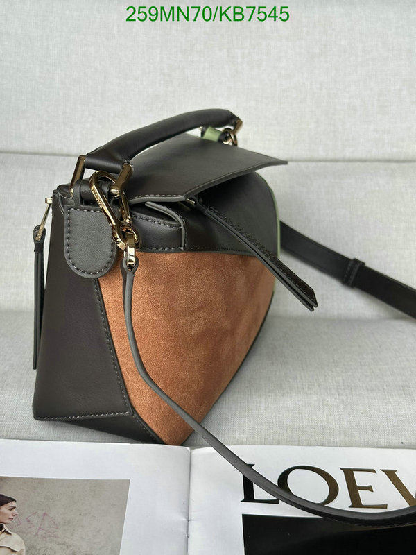 Loewe-Bag-Mirror Quality Code: KB7545