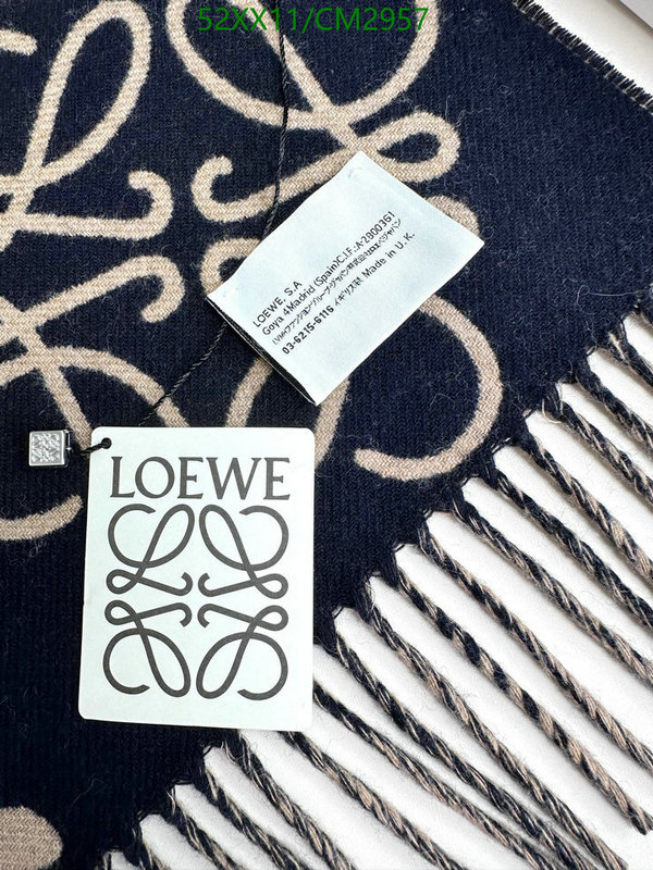 Loewe-Scarf Code: CM2957 $: 52USD