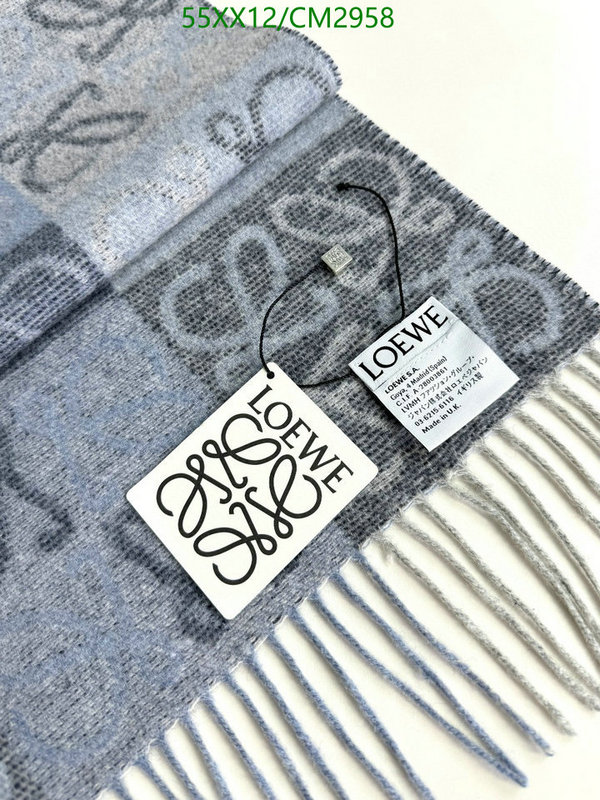 Loewe-Scarf Code: CM2958 $: 55USD