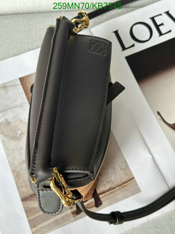 Loewe-Bag-Mirror Quality Code: KB7545