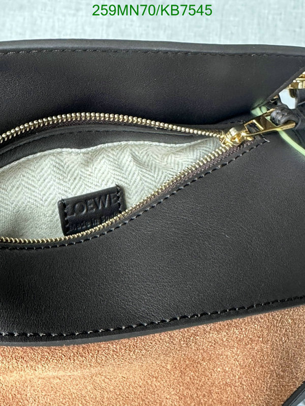 Loewe-Bag-Mirror Quality Code: KB7545