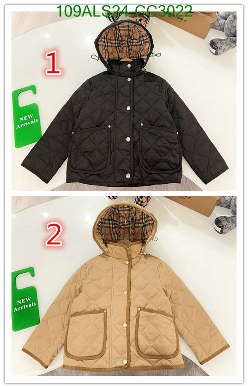 Down Jacket-Kids Clothing Code: CC3022 $: 109USD