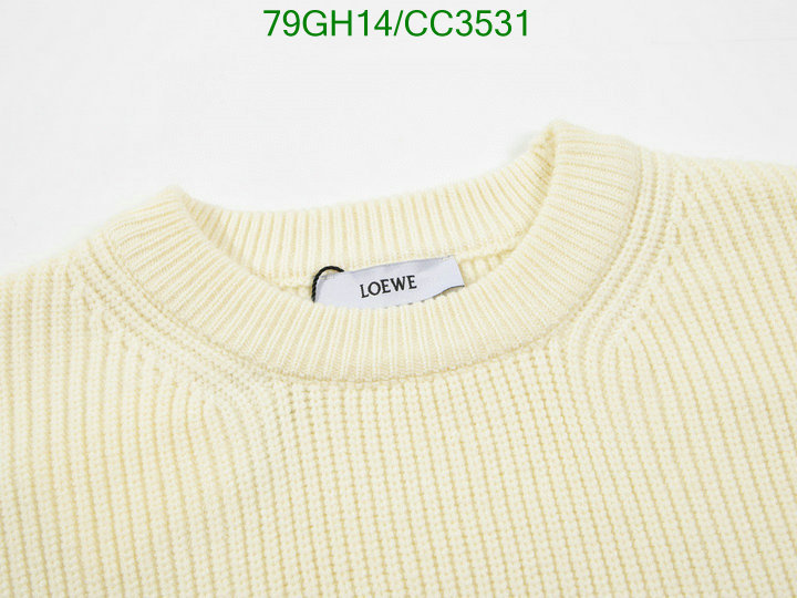 Loewe-Clothing Code: CC3531 $: 79USD