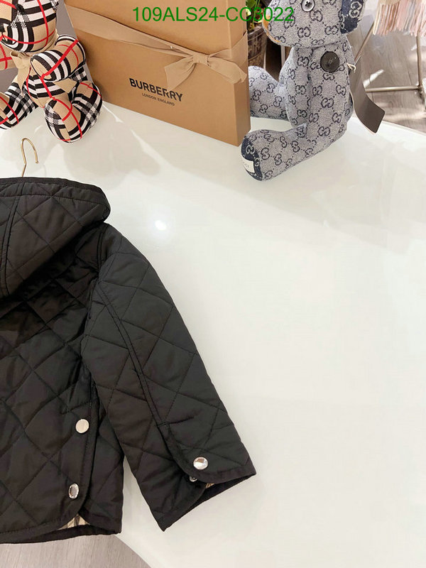 Down Jacket-Kids Clothing Code: CC3022 $: 109USD