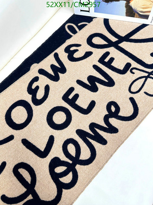 Loewe-Scarf Code: CM2957 $: 52USD