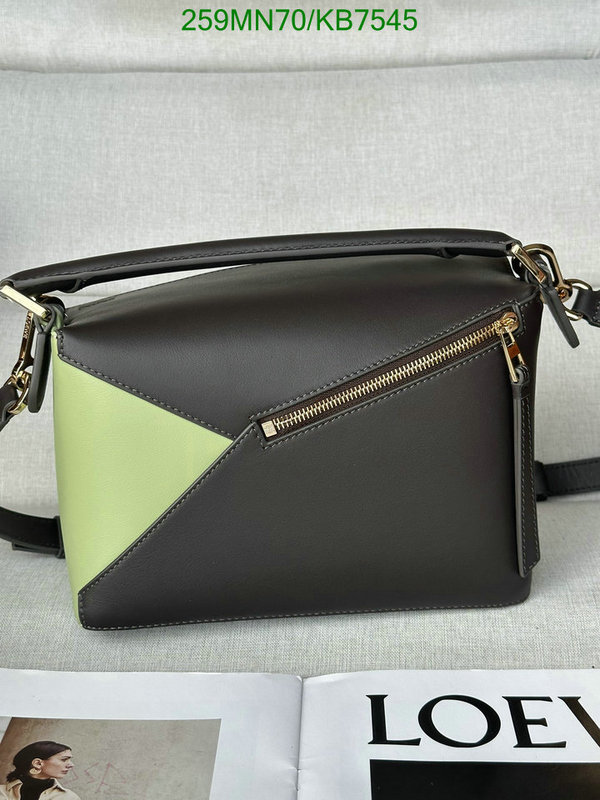 Loewe-Bag-Mirror Quality Code: KB7545