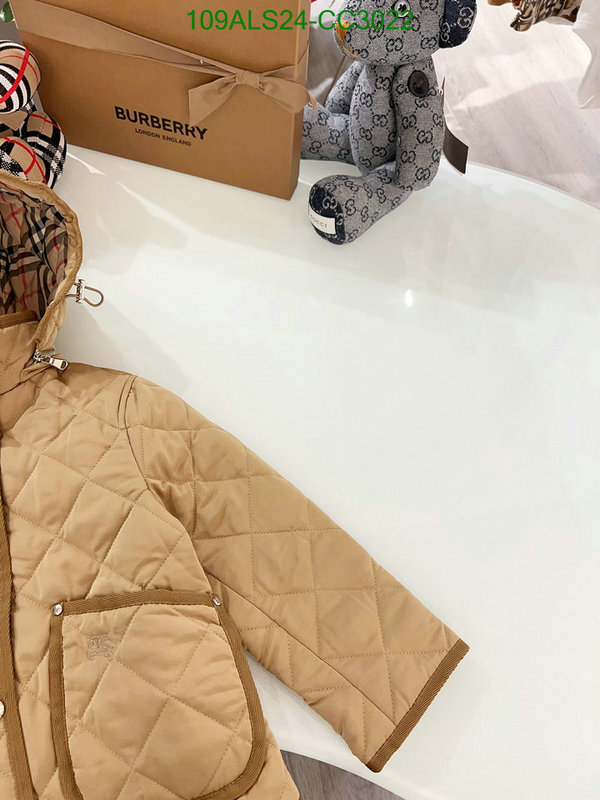 Down Jacket-Kids Clothing Code: CC3022 $: 109USD