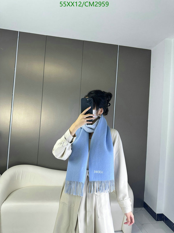 Loewe-Scarf Code: CM2959 $: 55USD