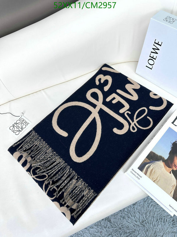 Loewe-Scarf Code: CM2957 $: 52USD