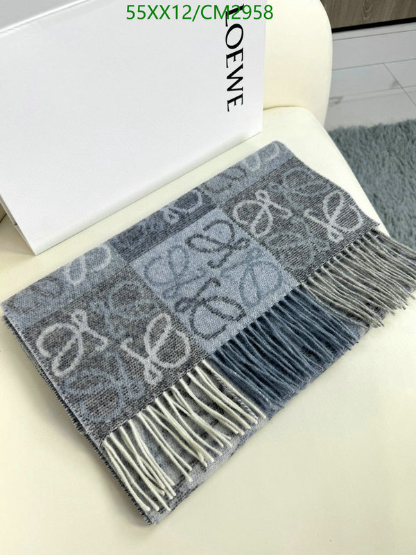 Loewe-Scarf Code: CM2958 $: 55USD