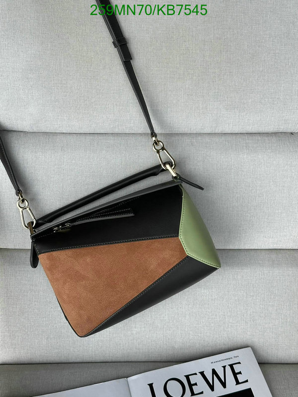 Loewe-Bag-Mirror Quality Code: KB7545