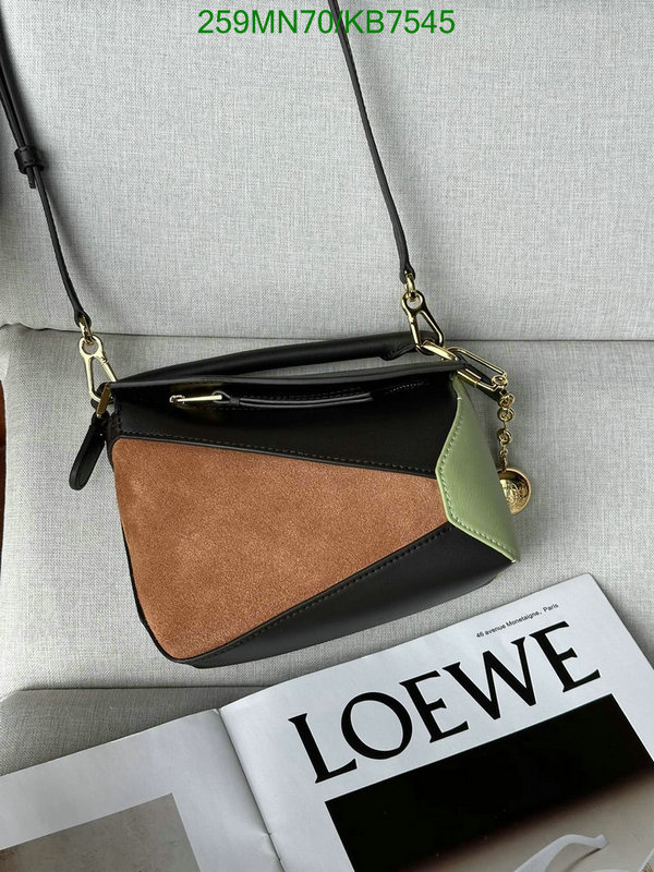 Loewe-Bag-Mirror Quality Code: KB7545