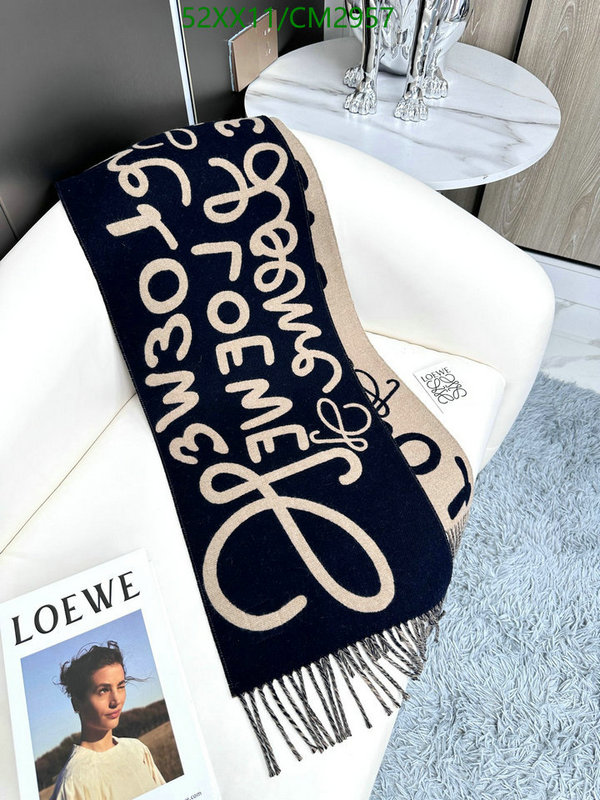 Loewe-Scarf Code: CM2957 $: 52USD