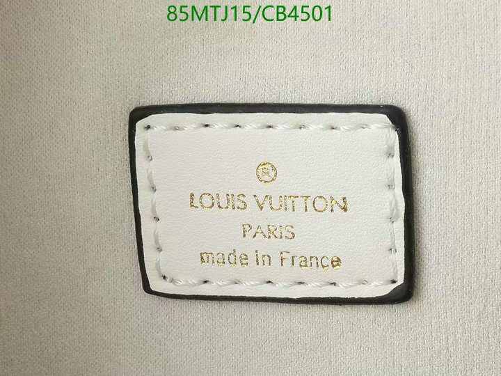 LV-Bag-4A Quality Code: CB4501 $: 85USD