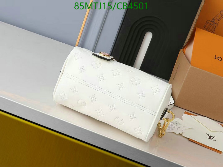 LV-Bag-4A Quality Code: CB4501 $: 85USD