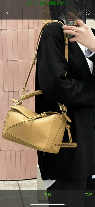 Loewe-Bag-Mirror Quality Code: KB9443 $: 275USD