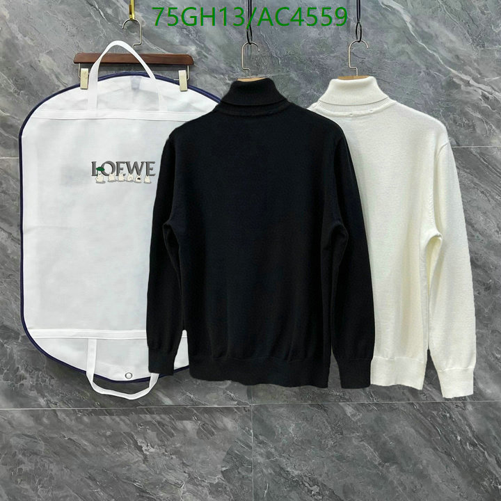 Loewe-Clothing Code: AC4559 $: 75USD