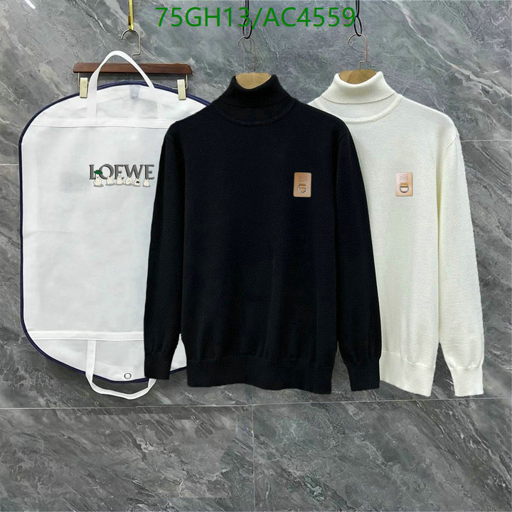 Loewe-Clothing Code: AC4559 $: 75USD