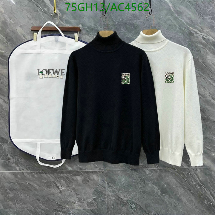 Loewe-Clothing Code: AC4562 $: 75USD